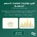 Saudi Equity Sector Indicators Excel Report 